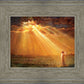 Rejoice in His Light