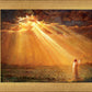 Rejoice in His Light