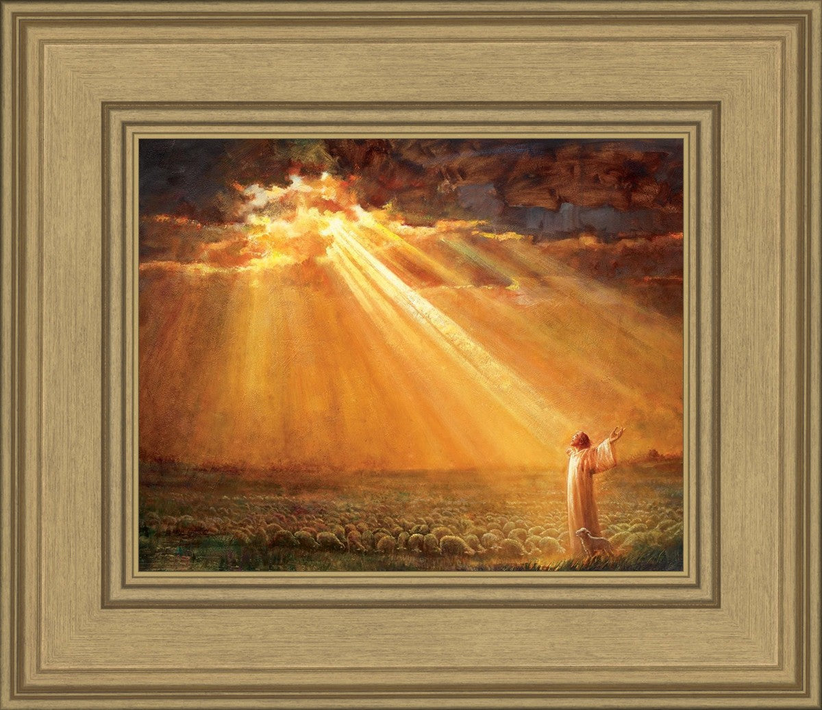 Rejoice in His Light
