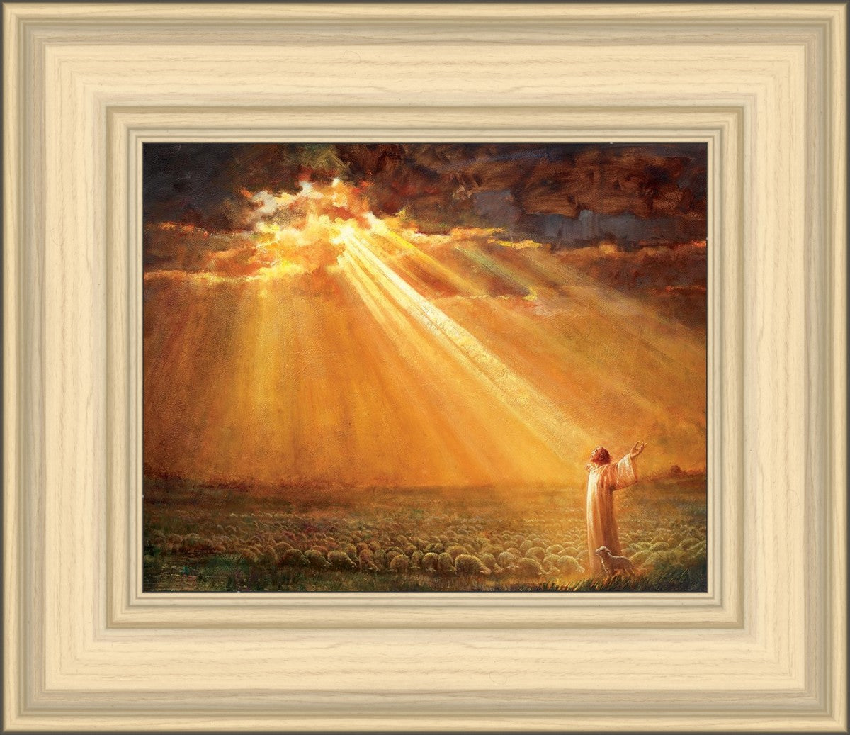 Rejoice in His Light