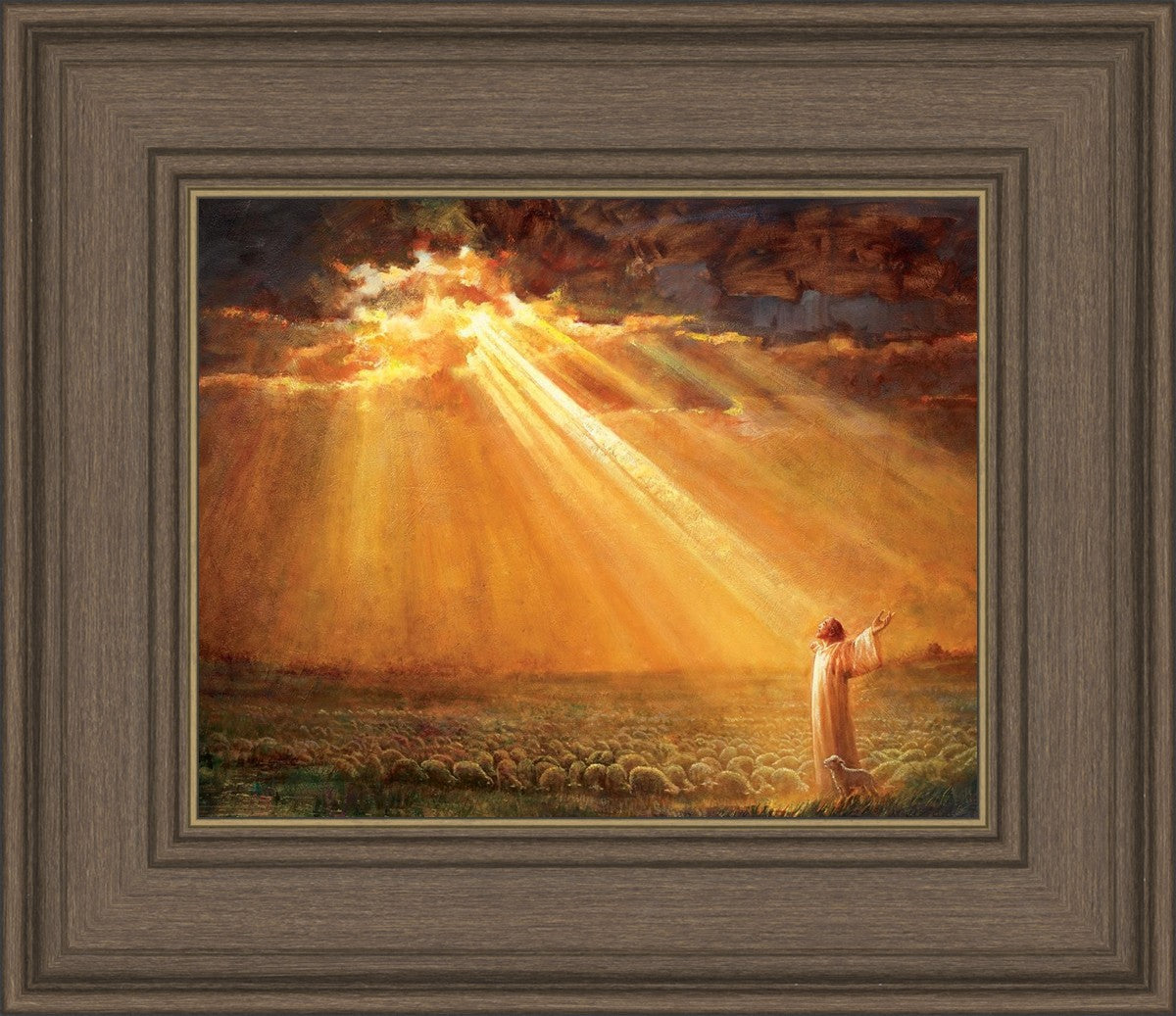 Rejoice in His Light