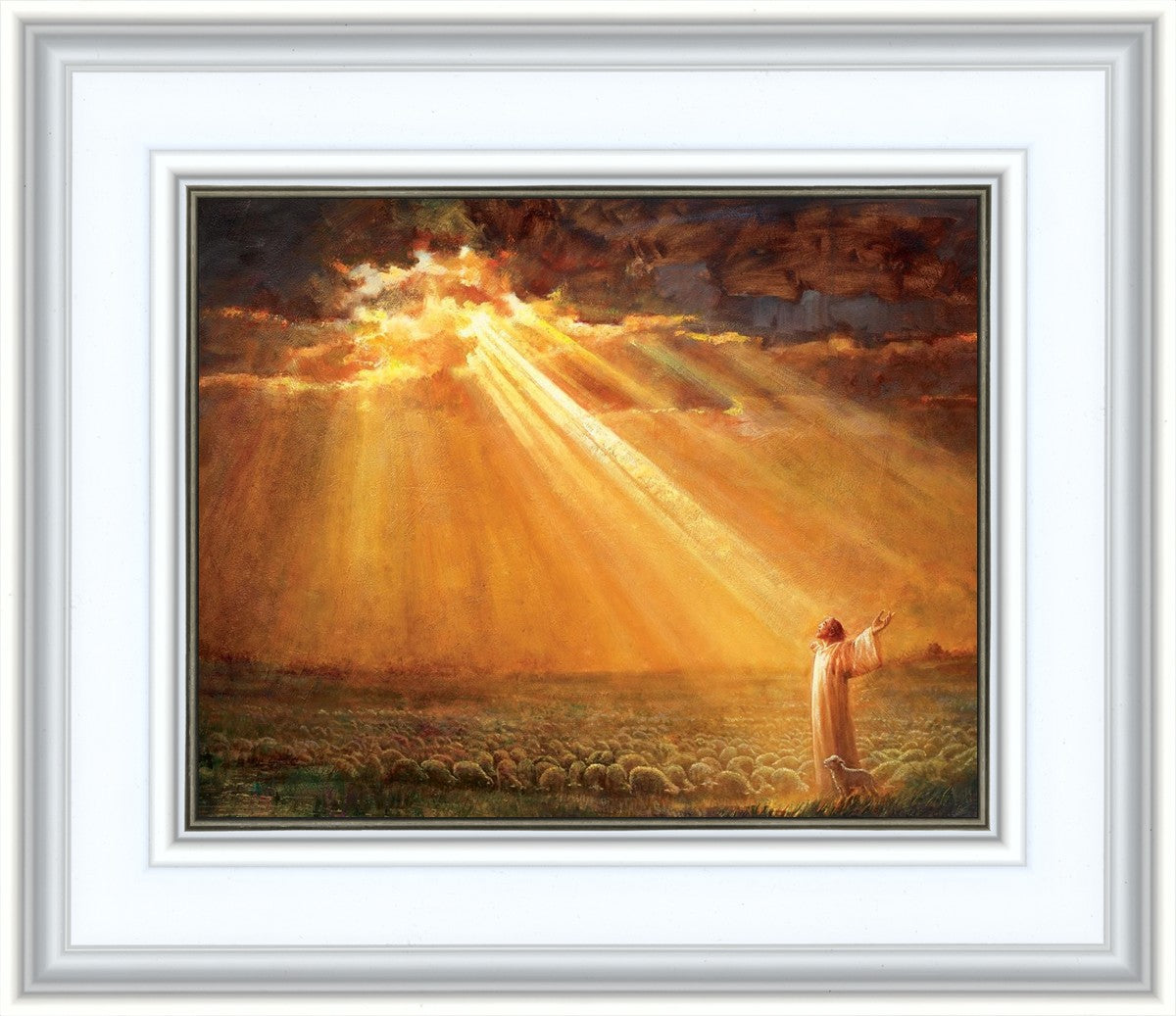 Rejoice in His Light