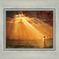 Rejoice in His Light