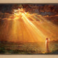Rejoice in His Light
