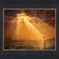 Rejoice in His Light