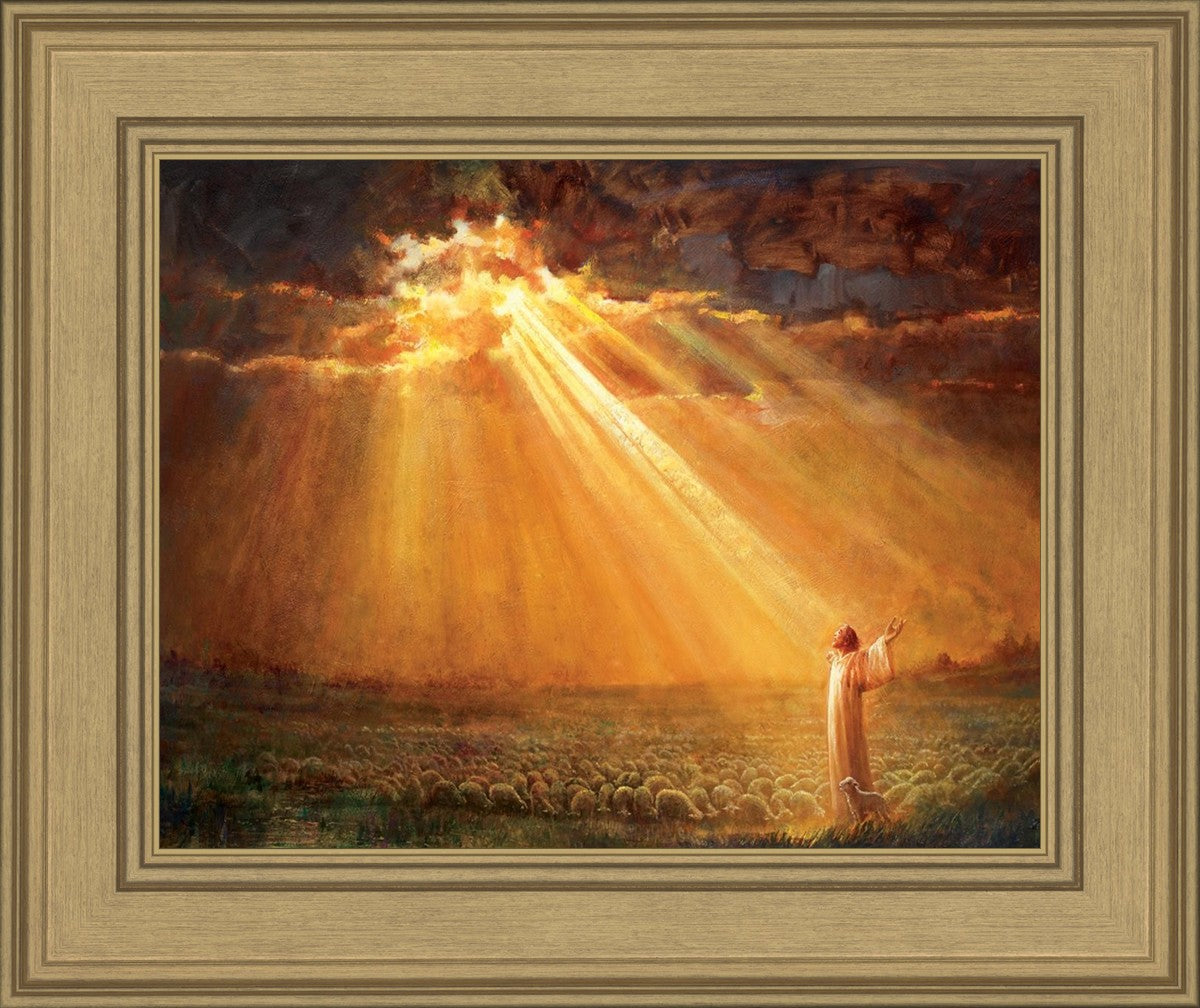 Rejoice in His Light