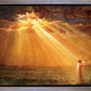 Rejoice in His Light