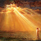 Rejoice in His Light