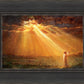 Rejoice in His Light