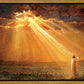 Rejoice in His Light