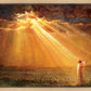 Rejoice in His Light