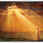 Rejoice in His Light