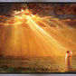 Rejoice in His Light