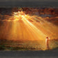 Rejoice in His Light