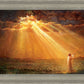 Rejoice in His Light