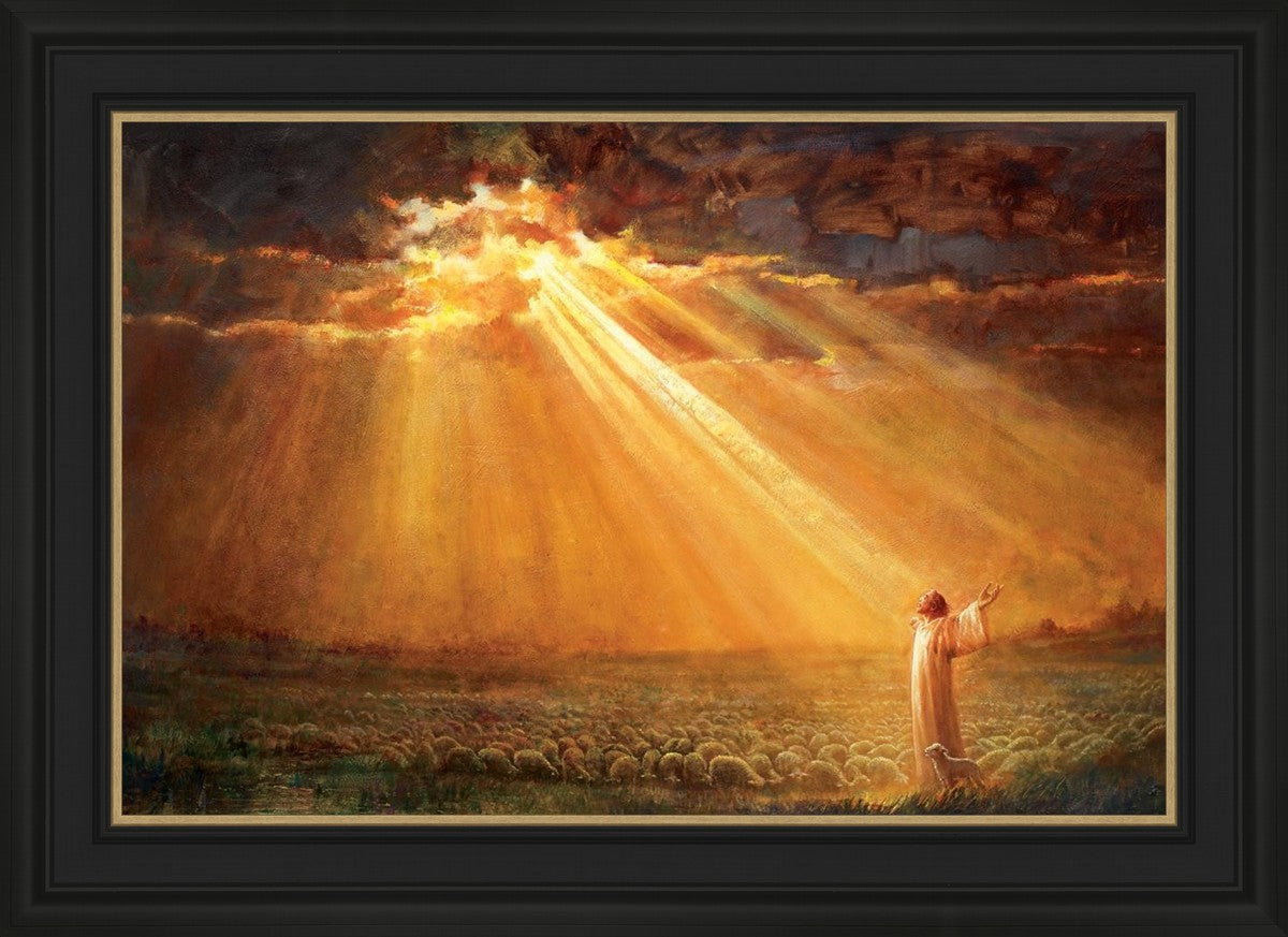 Rejoice in His Light