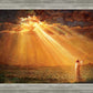 Rejoice in His Light