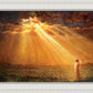 Rejoice in His Light