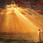 Rejoice in His Light