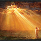 Rejoice in His Light