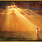 Rejoice in His Light