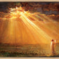 Rejoice in His Light