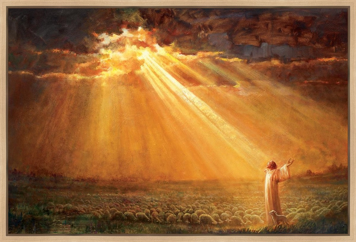 Rejoice in His Light