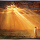 Rejoice in His Light