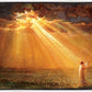 Rejoice in His Light