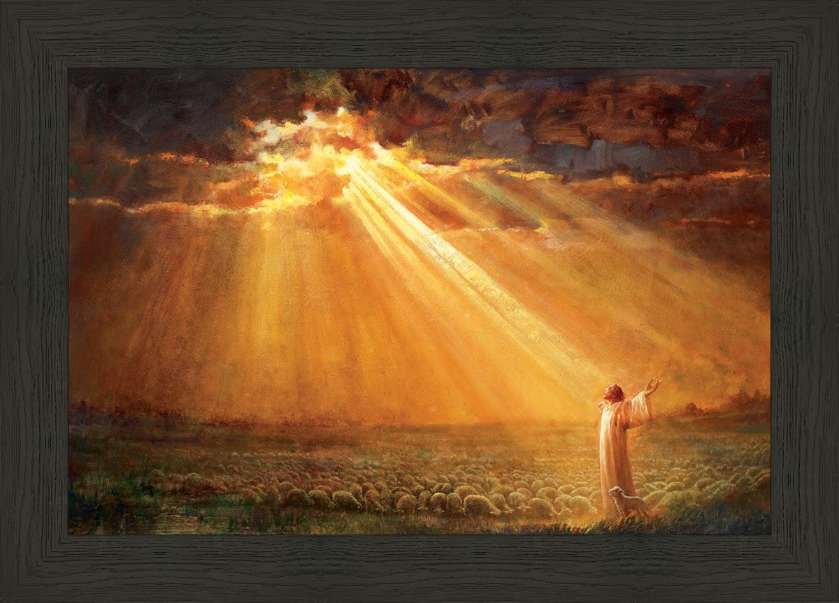 Rejoice in His Light