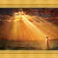 Rejoice in His Light