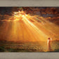 Rejoice in His Light