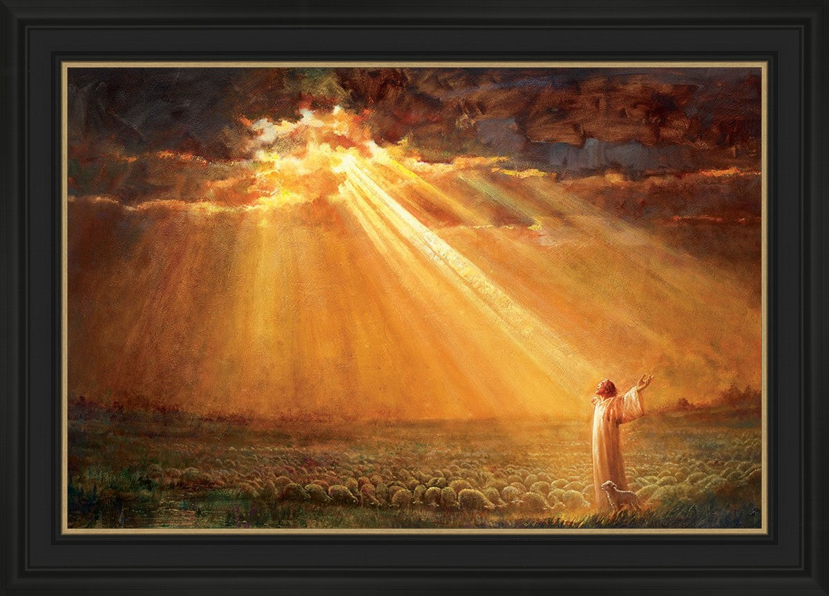 Rejoice in His Light