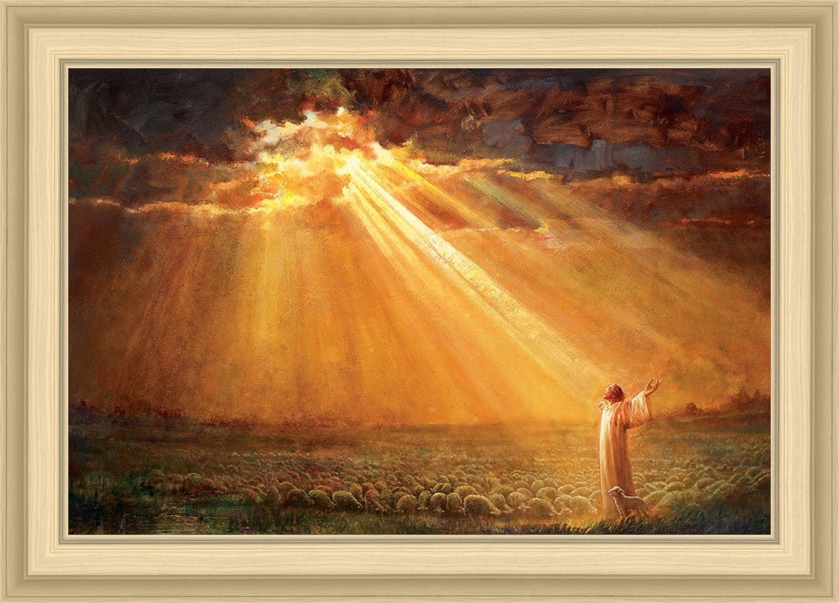 Rejoice in His Light