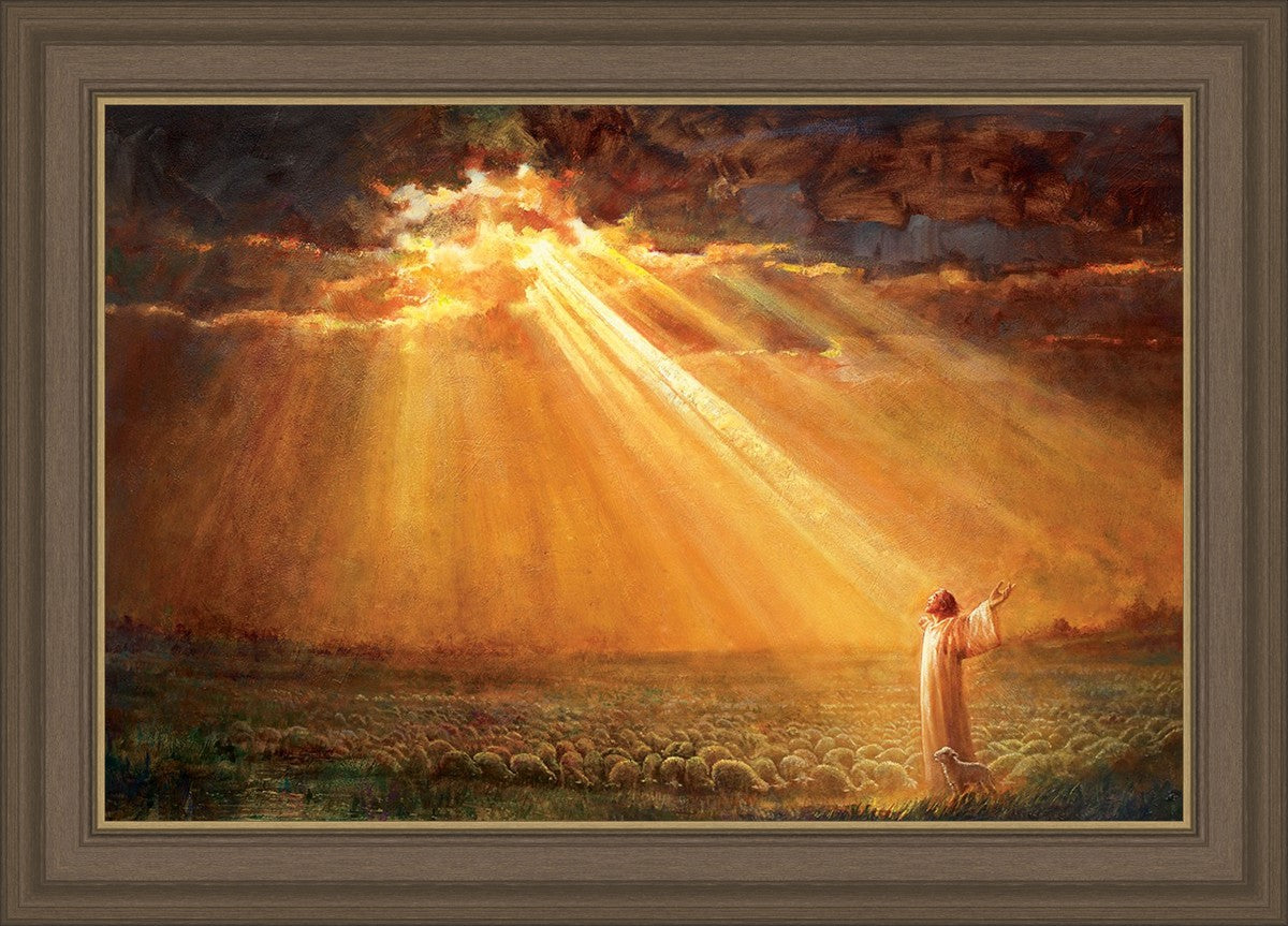 Rejoice in His Light