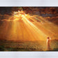 Rejoice in His Light