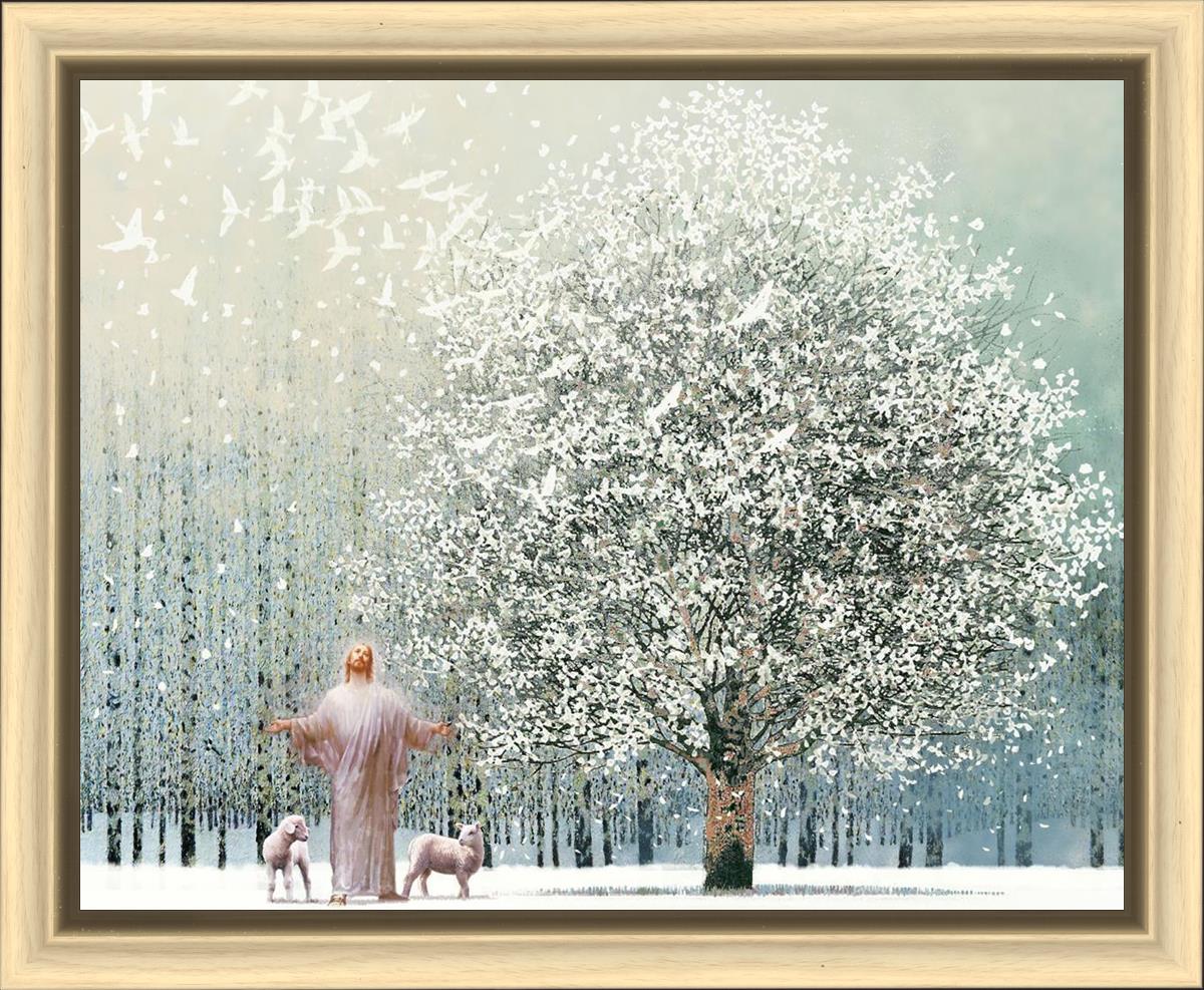 Solitude
