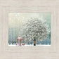 Solitude