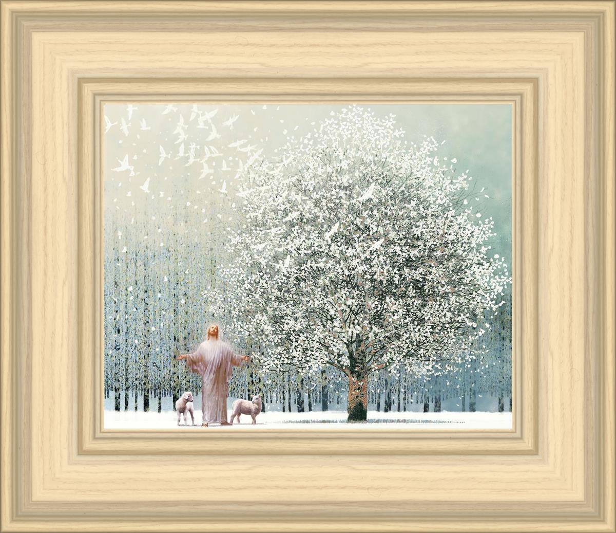 Solitude