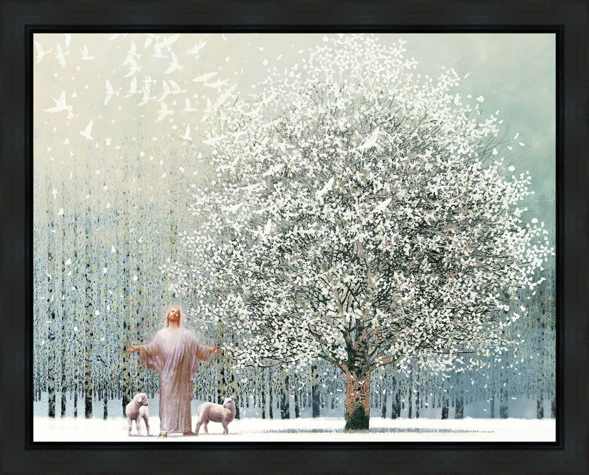Solitude