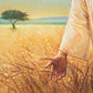 Wheat and Tares