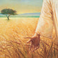 Wheat and Tares