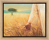 Wheat and Tares Gallery Wrap