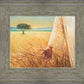 Wheat and Tares