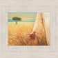 Wheat and Tares