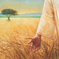 Wheat and Tares