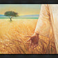 Wheat and Tares