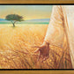 Wheat and Tares