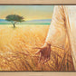 Wheat and Tares