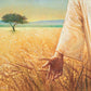 Wheat and Tares
